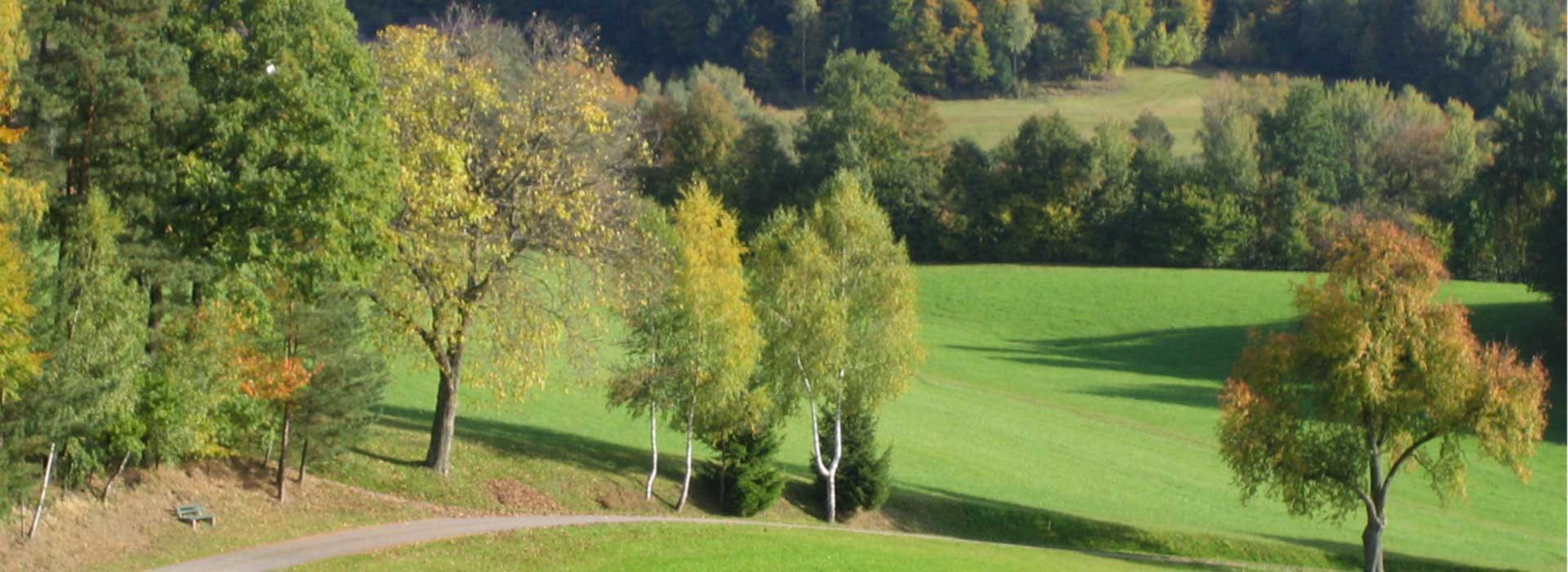 ... der Bayerische Wald im "Herbstkleid"